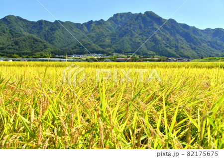 独鈷山を望む(長野県上田市)【2021.9】 82175675