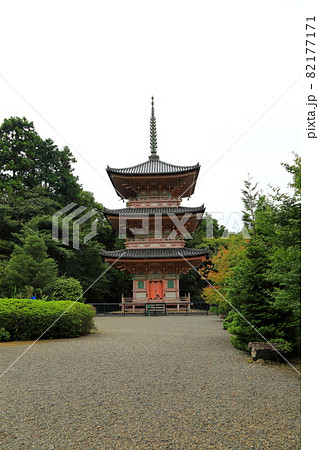 朝倉山真禅院・35（岐阜県不破郡垂井町） 82177171