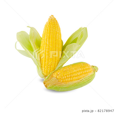 Fresh corn ears with leaves set isolated on white background 82178947