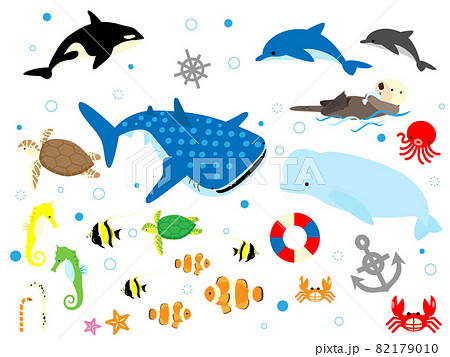 海の生き物セット 白背景 のイラスト素材