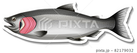 Sticker fish with gills on white background Sticker fish with gills on white background 82179032