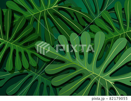 Tropical green leaves background Tropical green leaves background 82179055