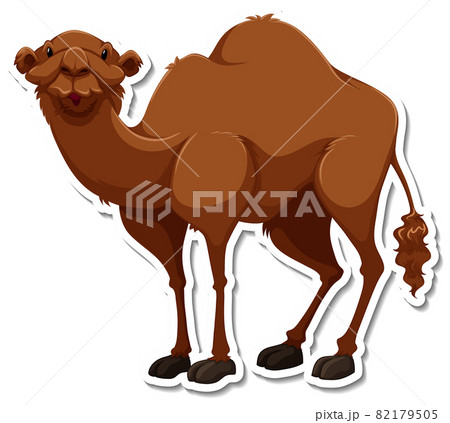 A Sticker Template Of Camel Cartoon Characterのイラスト素材