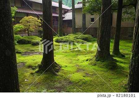 日用苔の里　石川県小松市日用町 82180101