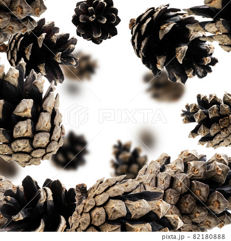 Pine cones levitate on a white background Pine cones levitate on a white background 82180888