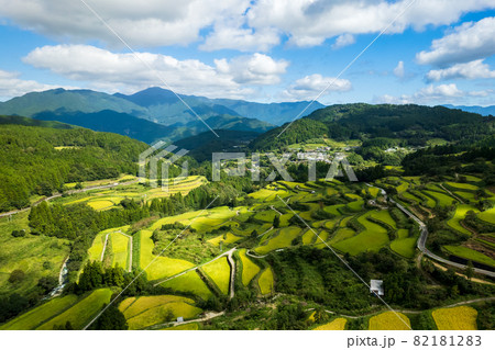 秋の収穫前の棚田の風景 82181283
