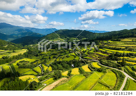 秋の収穫前の棚田の風景 82181284