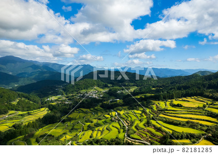 秋の収穫前の棚田の風景 秋の収穫前の棚田の風景 82181285