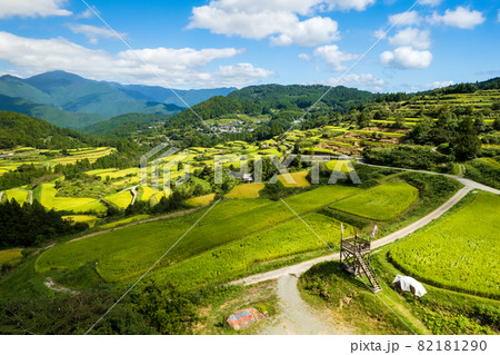 秋の収穫前の棚田の風景 82181290