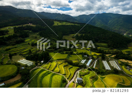 秋の収穫前の棚田の風景 82181293