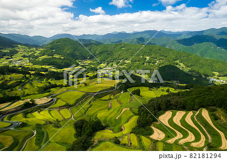 秋の収穫前の棚田の風景 82181294