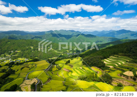 秋の収穫前の棚田の風景 秋の収穫前の棚田の風景 82181299