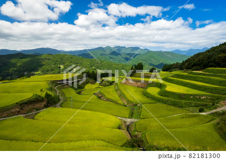 秋の収穫前の棚田の風景 秋の収穫前の棚田の風景 82181300