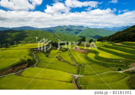 秋の収穫前の棚田の風景 82181301
