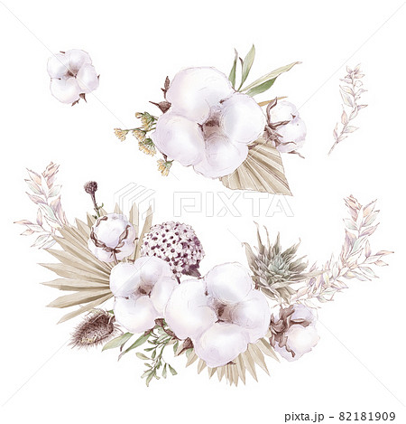 Set Of Cute Cotton Flowers Branches And Leaves のイラスト素材