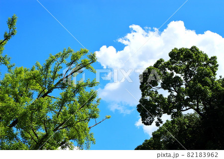 夏空 雲 夏空 雲 82183962