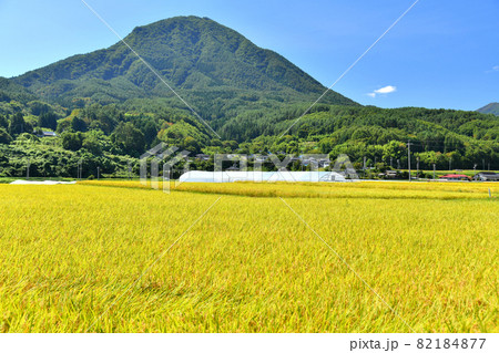 夫神岳方面を望む(長野県青木村)【2021.9】 夫神岳方面を望む(長野県青木村)【2021.9】 82184877