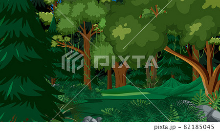 Nature forest landscape background Nature forest landscape background 82185045