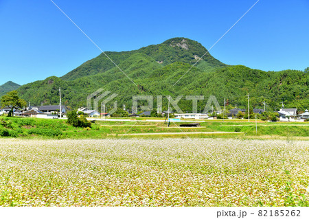 タチアカネ蕎麦畑／子檀嶺岳方面を望む(長野県青木村)【2021.9】 82185262