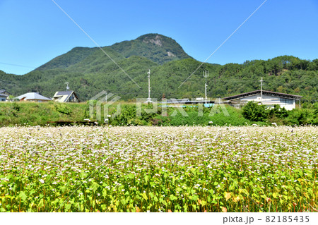 タチアカネ蕎麦畑／子檀嶺岳方面を望む(長野県青木村)【2021.9】 82185435