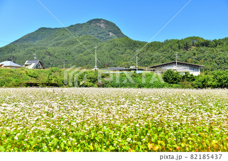 タチアカネ蕎麦畑／子檀嶺岳方面を望む(長野県青木村)【2021.9】 82185437