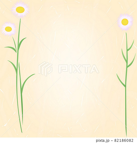 和紙に花の背景イラスト(ハルジオン) 和紙に花の背景イラスト(ハルジオン) 82186082