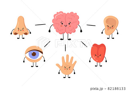 Brain And Five Human Senses Organs Kawaii...のイラスト素材 [82186133] - PIXTA