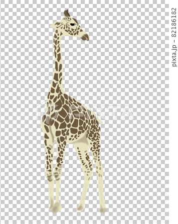 Illustration of a giraffe 82186182