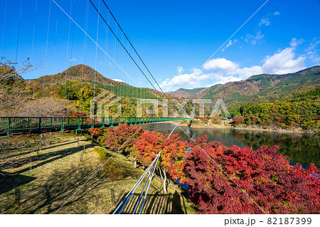 もみじ谷大吊橋 82187399