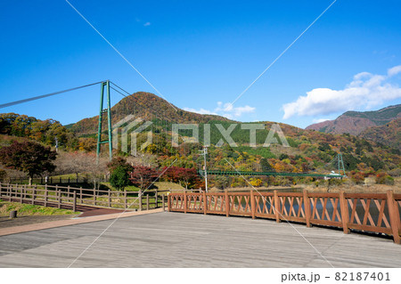 もみじ谷大吊橋 82187401
