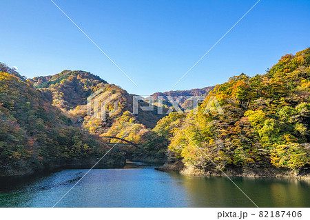 もみじ谷大吊橋 もみじ谷大吊橋 82187406