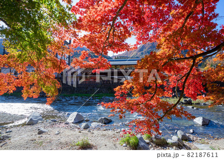 紅の吊橋の紅葉 82187611