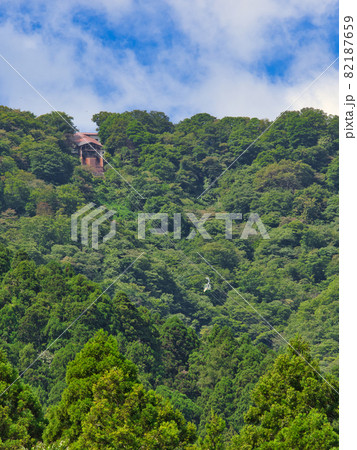弥彦山ロープェイ 弥彦山ロープェイ 82187659