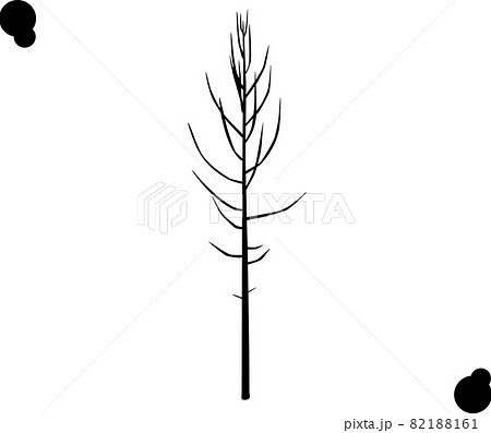 シンプルな冬の木のイメージ シルエット のイラスト素材 1161