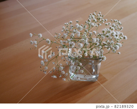 カスミ草の切り花の写真素材 13