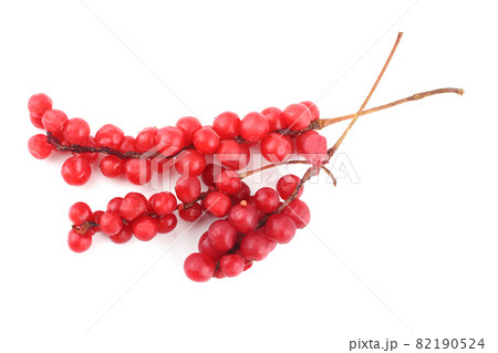 Schisandra Chinensis isolated on white Schisandra Chinensis isolated on white 82190524