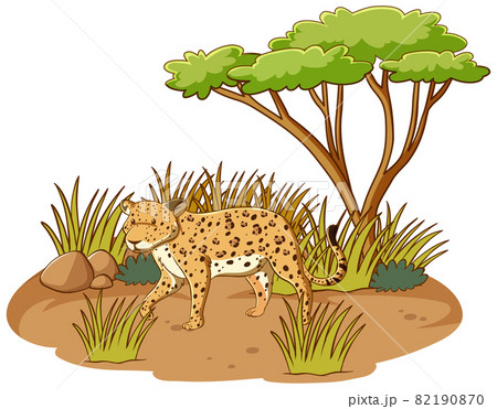 Leopard In Savannah Forest On White Backgroundのイラスト素材
