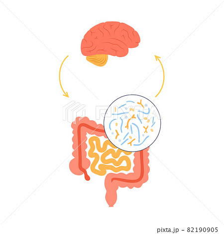 Gut brain connection 82190905