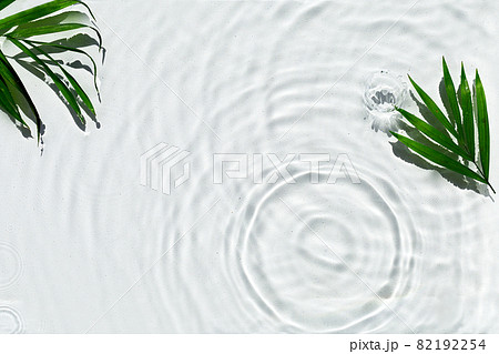 Abstract water texture with circles and palm leaf Abstract water texture with circles and palm leaf 82192254