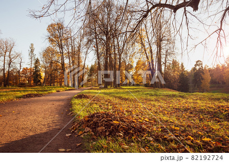 Fall season outdoor 82192724
