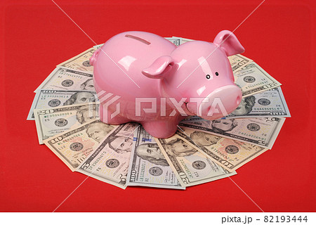 Pink piggy bank on money Pink piggy bank on money 82193444