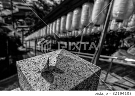 京都、松ヶ崎にある新宮神社の階段とウラギンシジミチョウ（モノクローム） 82194103