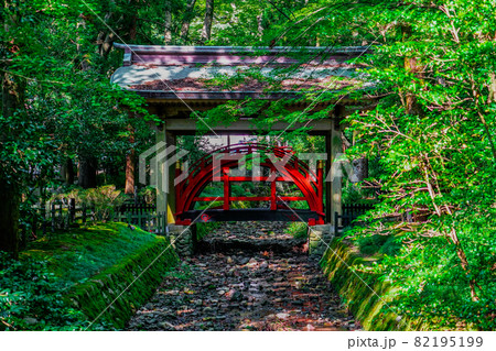玉の橋　越後国一宮 弥彦神社（新潟県西蒲原郡弥彦村弥彦） 82195199