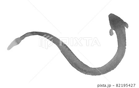 墨で描いた鰻のシルエットのイラスト 82195427