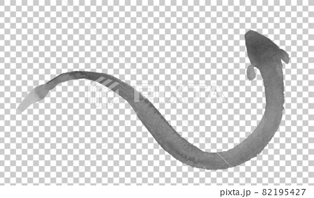 墨で描いた鰻のシルエットのイラスト 82195427