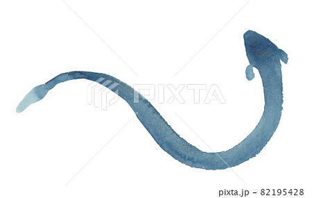 墨で描いた鰻のシルエットのイラストのイラスト素材
