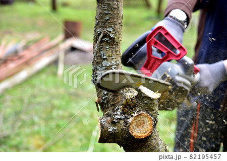Professional gardener cuts branches on a old tree, with using a chain saw. Trimming trees Professional gardener cuts branches on a old tree, with using a chain saw. Trimming trees 82195457