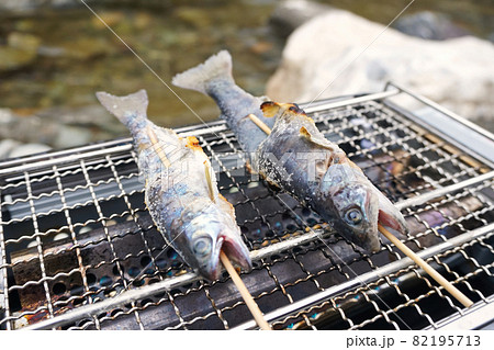 渓流で釣れたイワナとヤマメの塩焼きの写真素材