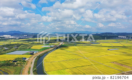 風景 田畑 空 82196704