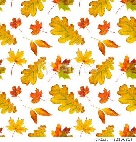 Seamless pattern with autumn leaves isolated on white 82196813